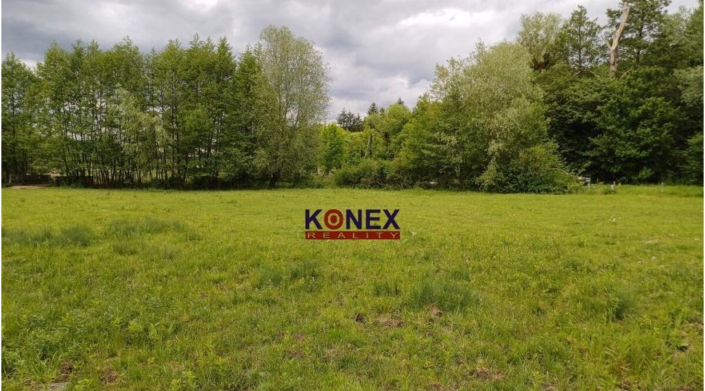 Na predaj rozľahlý pozemok PTIČIE – blízko Humenného