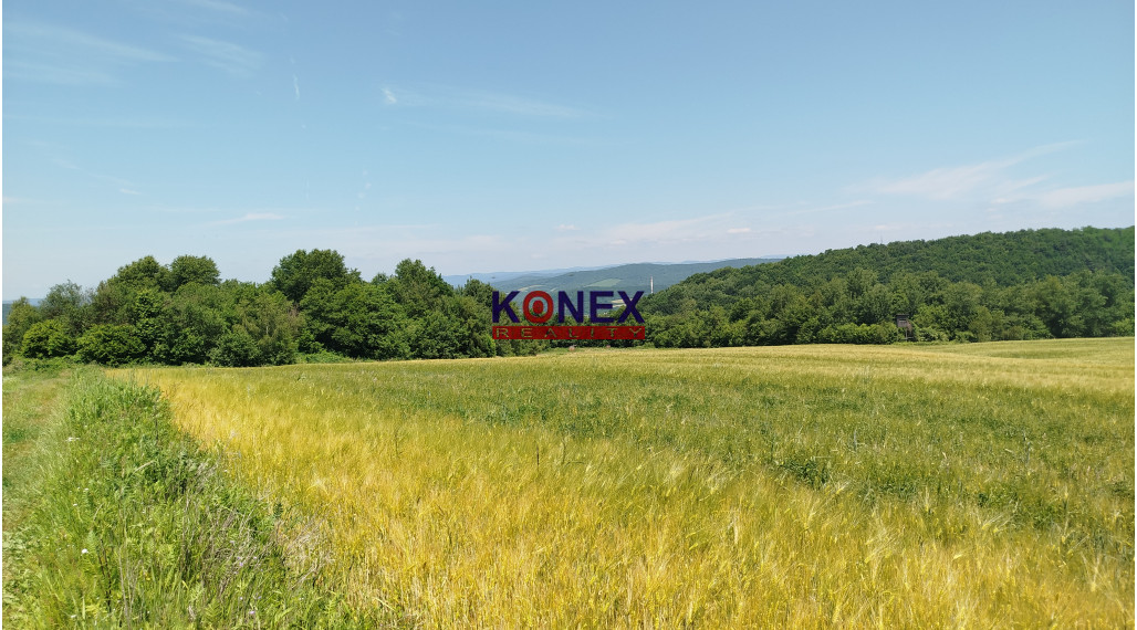 POĽNOHOSPODÁRSKE POZEMKY k. ú. Zemplínske Hámre