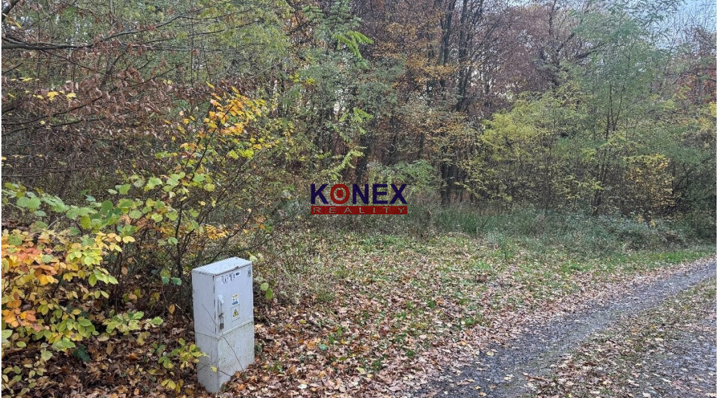 Rekreačný pozemok na výstavbu chaty blízko Vranova nad Topľou