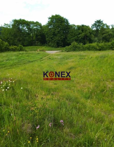 ID-3244 ROZĽAHLÝ POZEMOK – LADOMIROVÁ – okr. Svidník