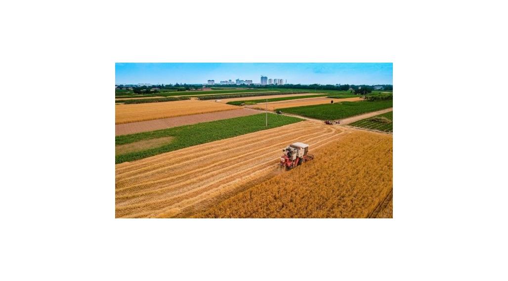 ID-3314 Pozemky s investičným potenciálom, k. ú. Žbince, Vrbnica