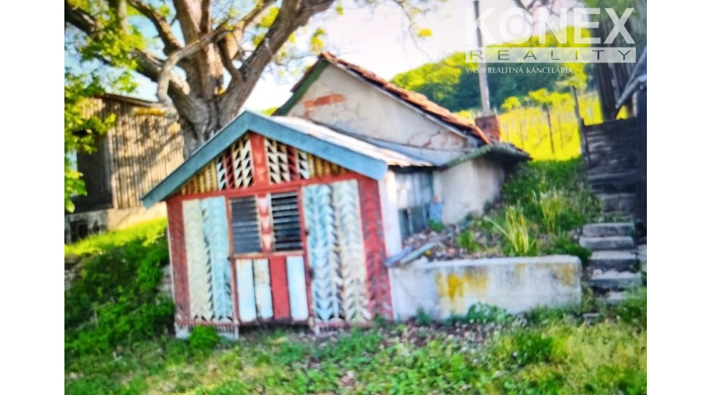 ID-3522 Chatka s vinicou pri obci BORŠA – NA PREDAJ