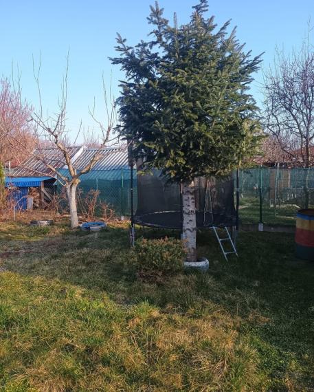 ID-3646 Záhradka so záhradnou chatkou – VRBINY – MICHALOVCE