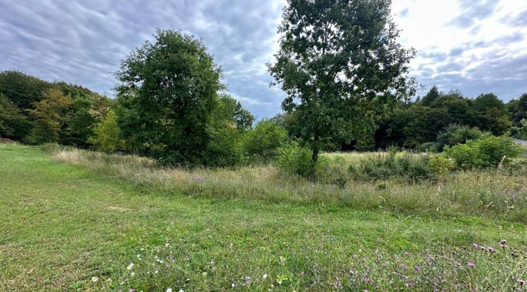 ID-3834 POZEMOK neďaleko Prešova - Šarišská Poruba