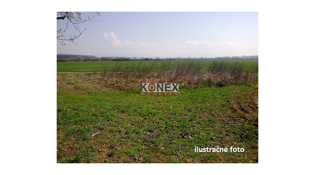 ID-3905 Predaj investičného pozemku – Čaklov (orná pôda)
