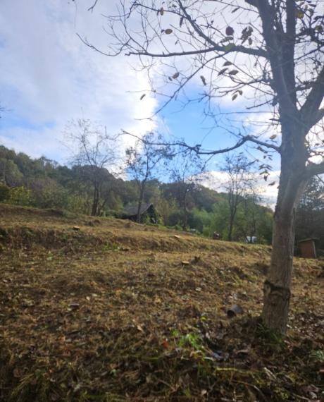 ID-3931 NA PREDAJ Rekreačné pozemky SNINA – Pichoňka