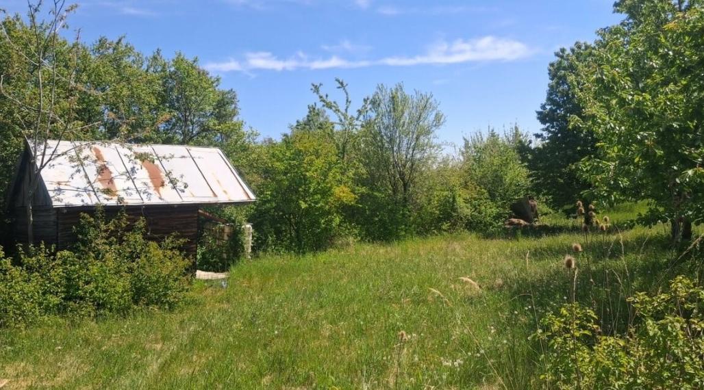 ID-3996 Rekreačný pozemok s chatkou SEČOVCE