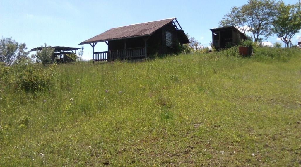 ID-4087 NA PREDAJ pozemok pod Mihaľovom v Bardejove