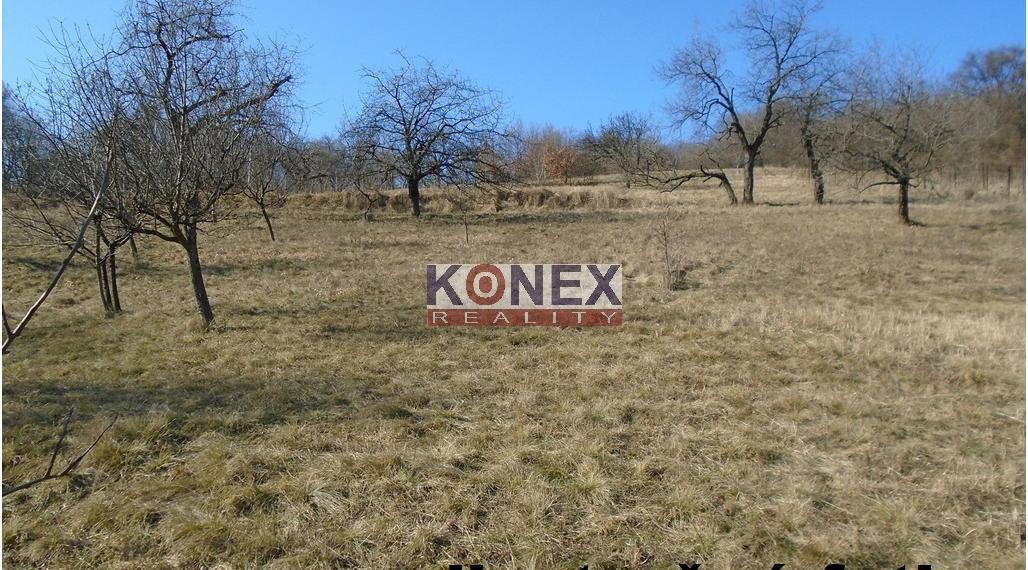 ID-4103 SUPER INVESTÍCIA – pozemok 4355 m2 v obci Trhovište