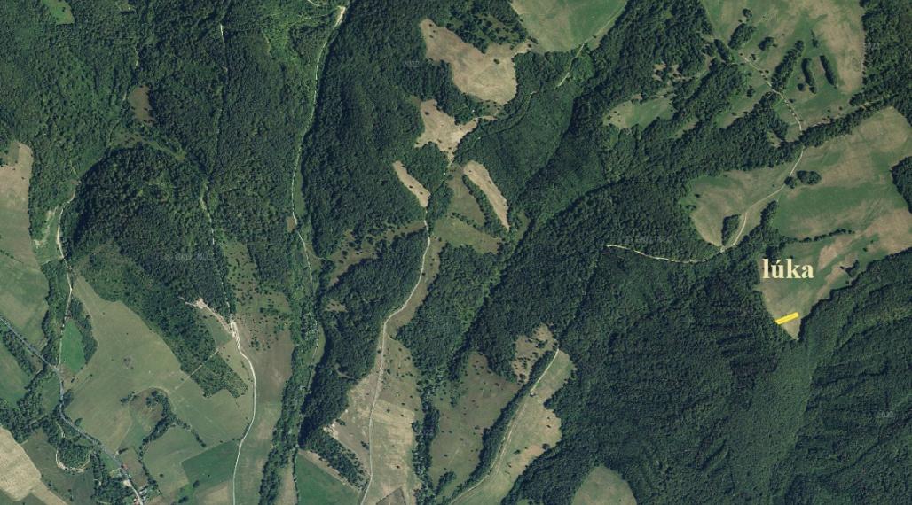 ID-4105 NA PREDAJ LESNÝ pozemok a TTP v k. ú. HABURA