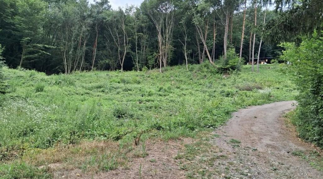 ID-4409 Rekreačný pozemok na výstavbu chát – DOMAŠA – DOBRÁ