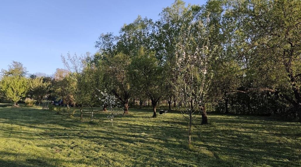 ID-4415 Pozemok na predaj – Vranov nad Topľou