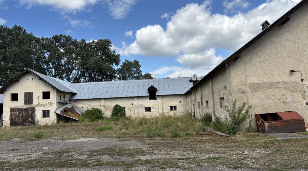 ID-4515 PRENÁJOM POĽNOHOSPODÁRSKYCH POZEMKOV na chov a pestovanie - TUŠICE