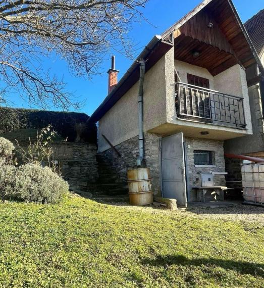 ID-4658 Vinohrad s chatou v Tokajskej oblasti – VINIČKY