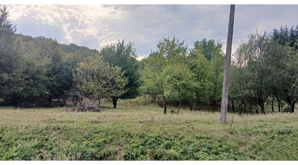 ID-4682 Rozľahlý a široký pozemok na výstavbu KRČAVA