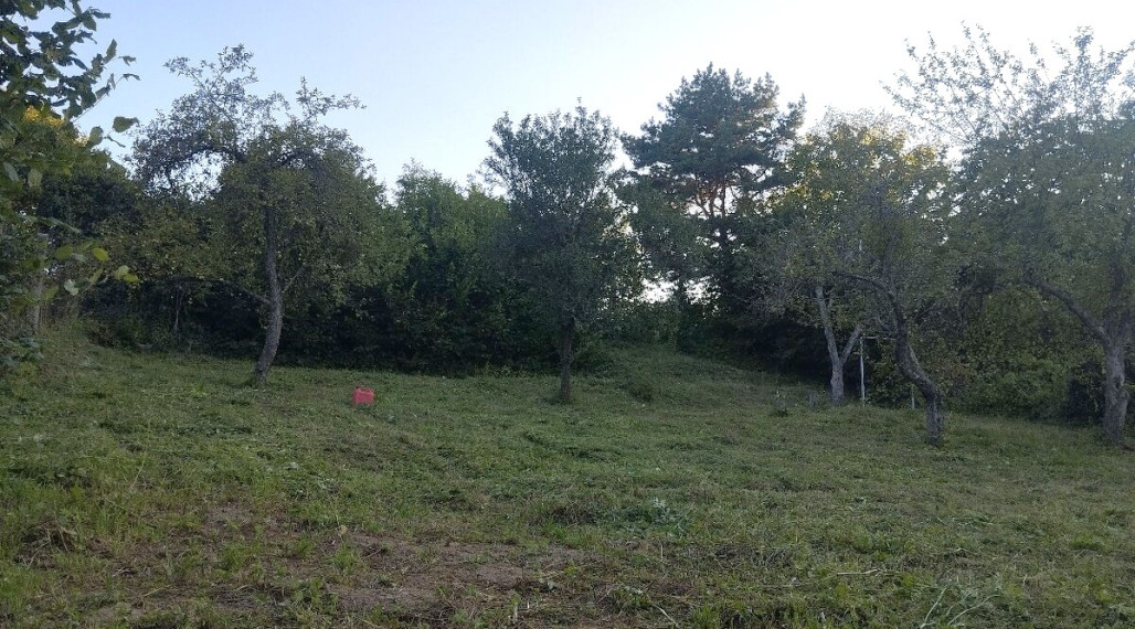ID-4766 Rekreačná záhrada na výstavbu chatky - Prešov