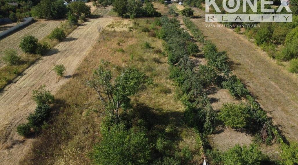 ID-4869 NA PREDAJ VEĽKÝ POZEMOK V POKOJNEJ OBCI PETRIKOVCE