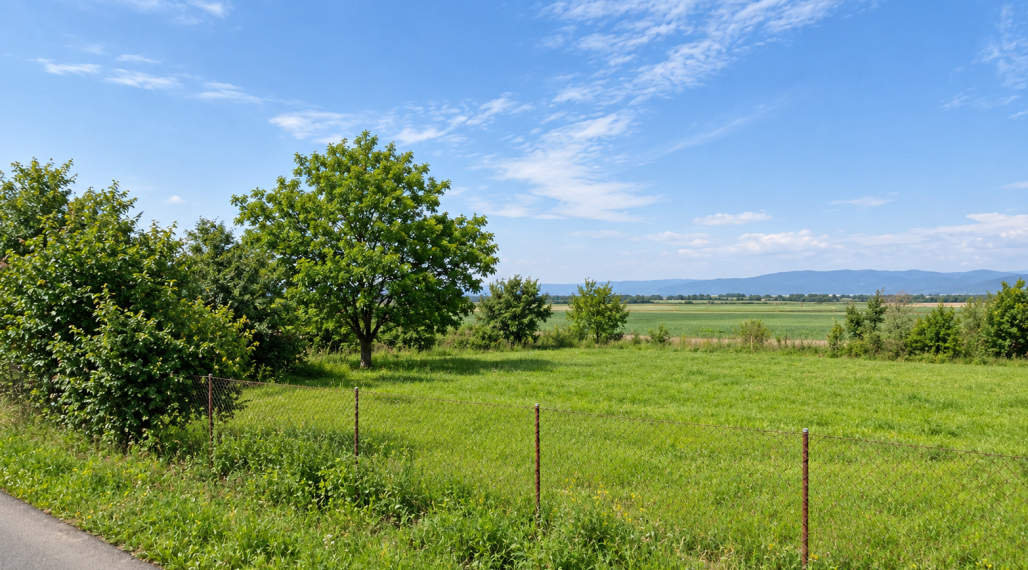 ID-4919 NA PREDAJ – Pozemok neďaleko Trebišova - vhodný pre rodinný dom