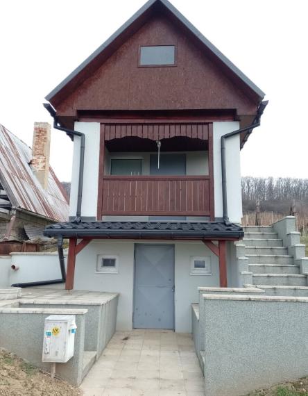 ID-4981 NA PREDAJ Vinica s chalupou - BORŠA