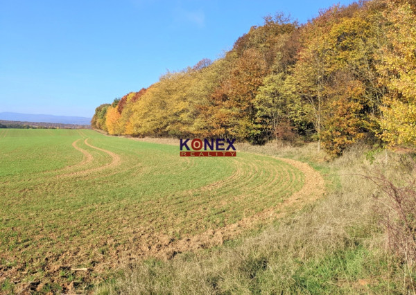 NA PREDAJ! Jesenné pozemky v okrese Poltár