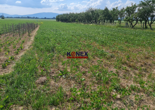 Orná pôda – Nižný Hrušov