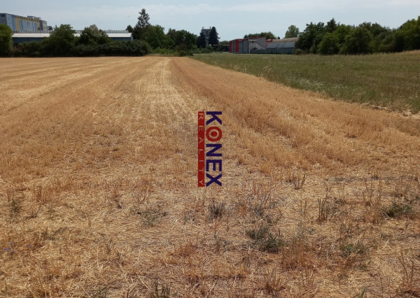 Na predaj pozemok na výstavbu rodinného domu v Michalovciach