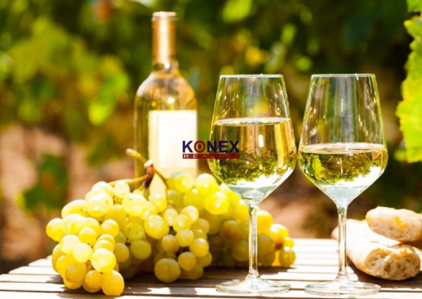 Jedinečná investícia! KRÁSNY VINOHRAD VO VINOHRADNÍCKEJ OBLASTI TOKAJ