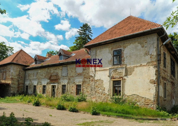 ZAUJÍMAVÁ INVESTIČNÁ PONUKA! Unikátny kaštieľ v obci pri Michalovciach