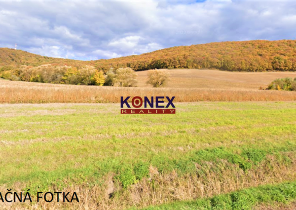 POĽNOHOSPODÁRSKE POZEMKY- Trnava pri Laborci, Zbudza