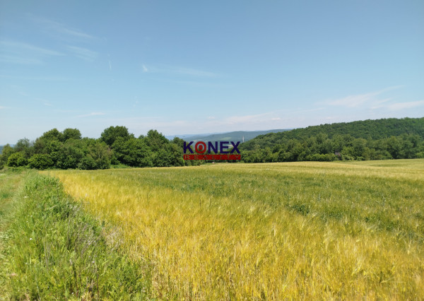 POĽNOHOSPODÁRSKE POZEMKY k. ú. Zemplínske Hámre