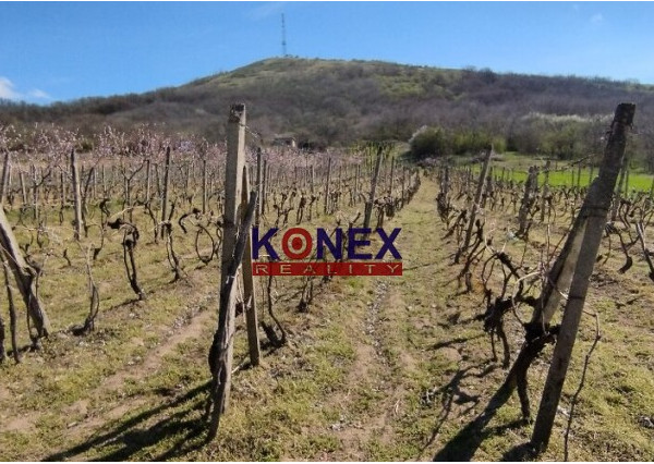 NA PREDAJ – Vinica – Malý Kamenec