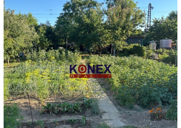 NOVINKA –  Záhradka na predaj - Veľké Kapušany