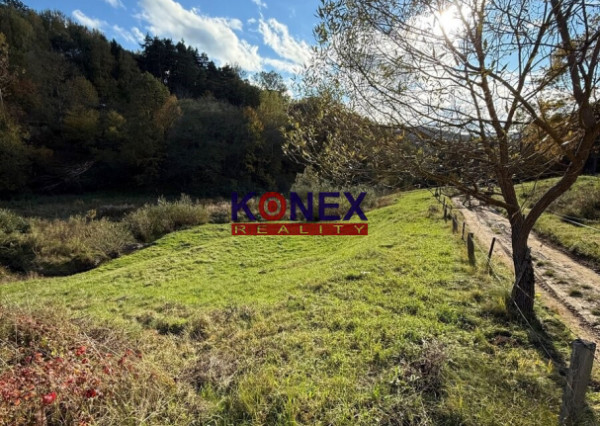 ID-3167 POZEMOK na REKREÁCIU pri BARDEJOVE