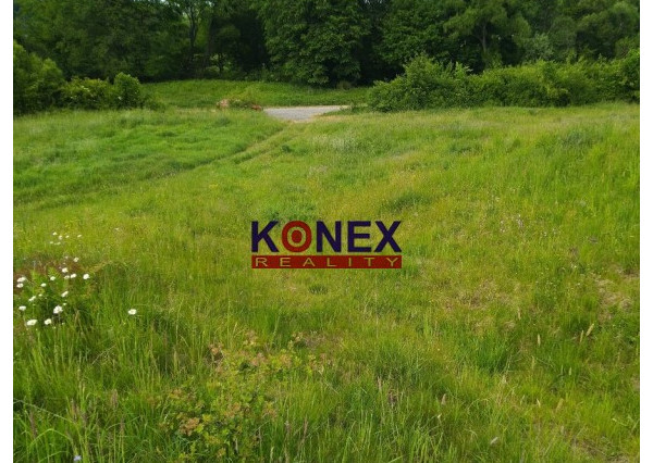 ID-3244 ROZĽAHLÝ POZEMOK – LADOMIROVÁ – okr. Svidník