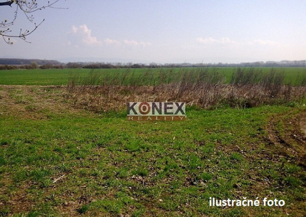 ID-3313 NA PREDAJ - Pozemok 4á v obci VINNÉ