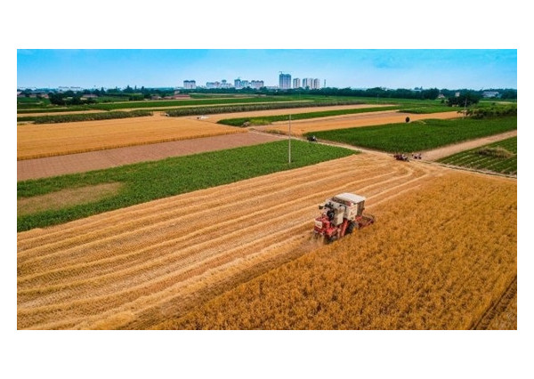 ID-3314 Pozemky s investičným potenciálom, k. ú. Žbince, Vrbnica