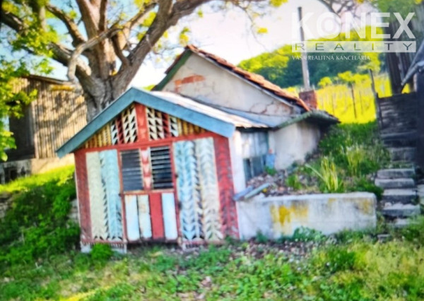 ID-3522 Chatka s vinicou pri obci BORŠA – NA PREDAJ