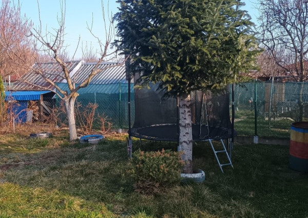 ID-3646 Záhradka so záhradnou chatkou – VRBINY – MICHALOVCE