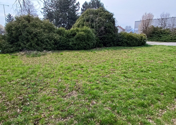 ID-3722 Predaj pozemku – Vranov nad Topľou (k.ú. Čemerné)