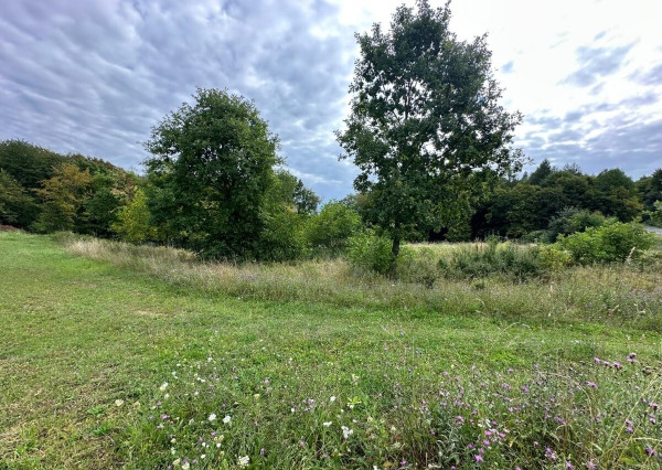 ID-3834 POZEMOK neďaleko Prešova - Šarišská Poruba