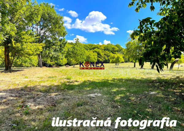 ID-3599 VINICA na predaj – Kráľovský Chlmec