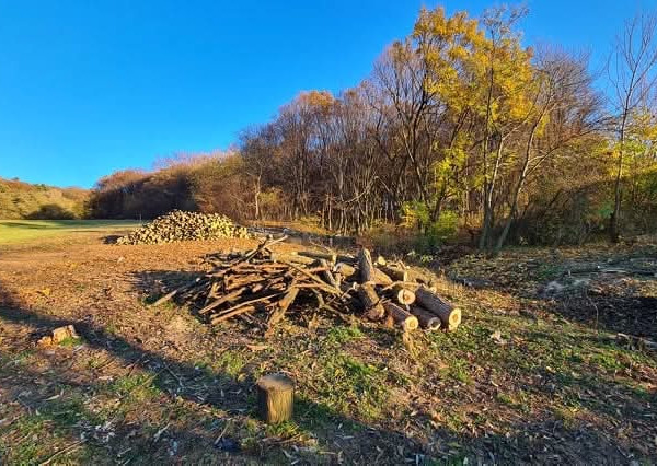 ID-3885 NA PREDAJ Pozemok – Kladzany, okres Vranov nad Topľou