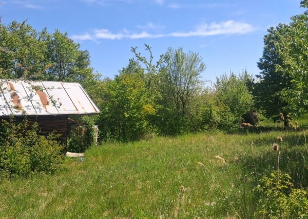 ID-3996 Rekreačný pozemok s chatkou SEČOVCE
