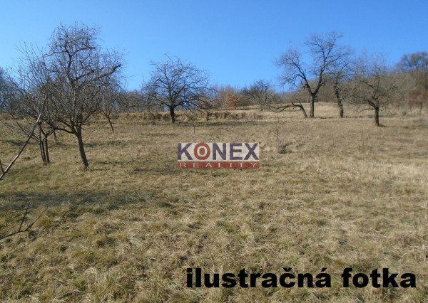 ID-4103 SUPER INVESTÍCIA – pozemok 4355 m2 v obci Trhovište