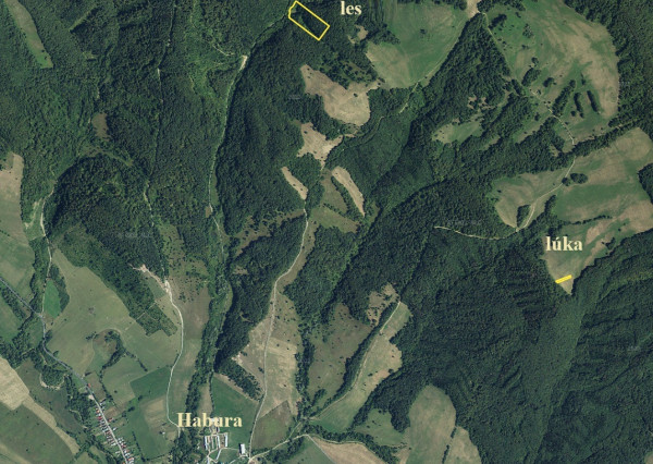 ID-4105 NA PREDAJ LESNÝ pozemok a TTP v k. ú. HABURA