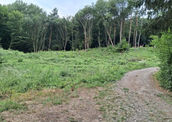 ID-4409 Rekreačný pozemok na výstavbu chát – DOMAŠA – DOBRÁ