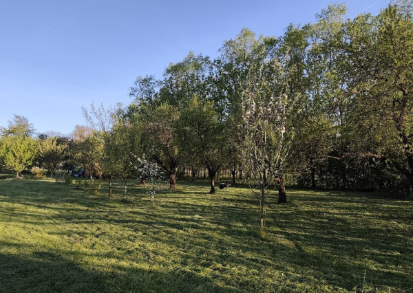ID-4415 Pozemok na predaj – Vranov nad Topľou