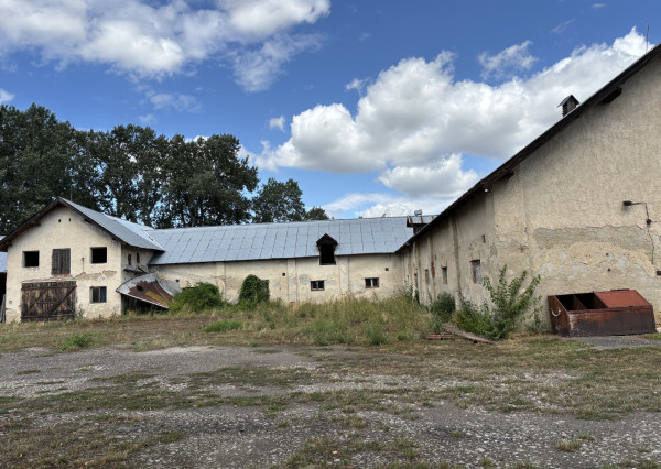 ID-4515 PRENÁJOM POĽNOHOSPODÁRSKYCH POZEMKOV na chov a pestovanie - TUŠICE