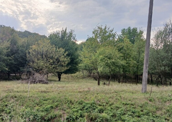 ID-4682 Rozľahlý a široký pozemok na výstavbu KRČAVA