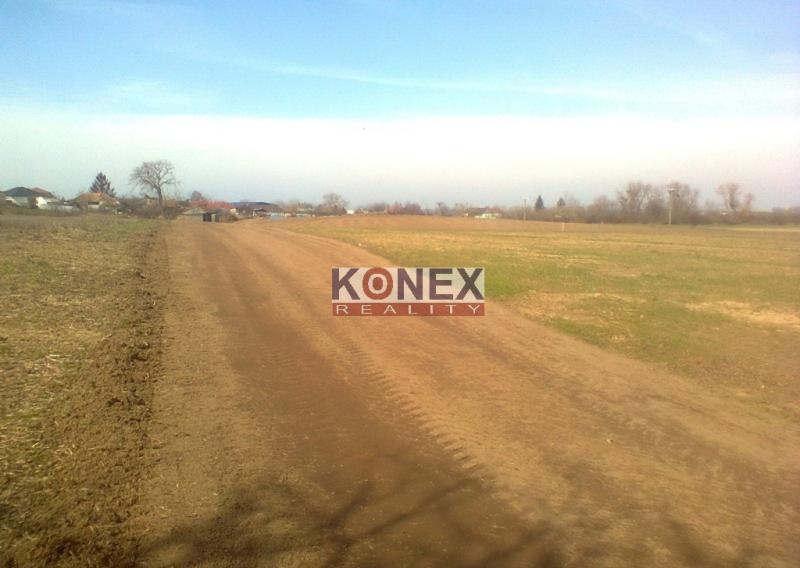Stavebný pozemok na stavbu poľnohospodárskej alebo priemyselnej budovy – Leles